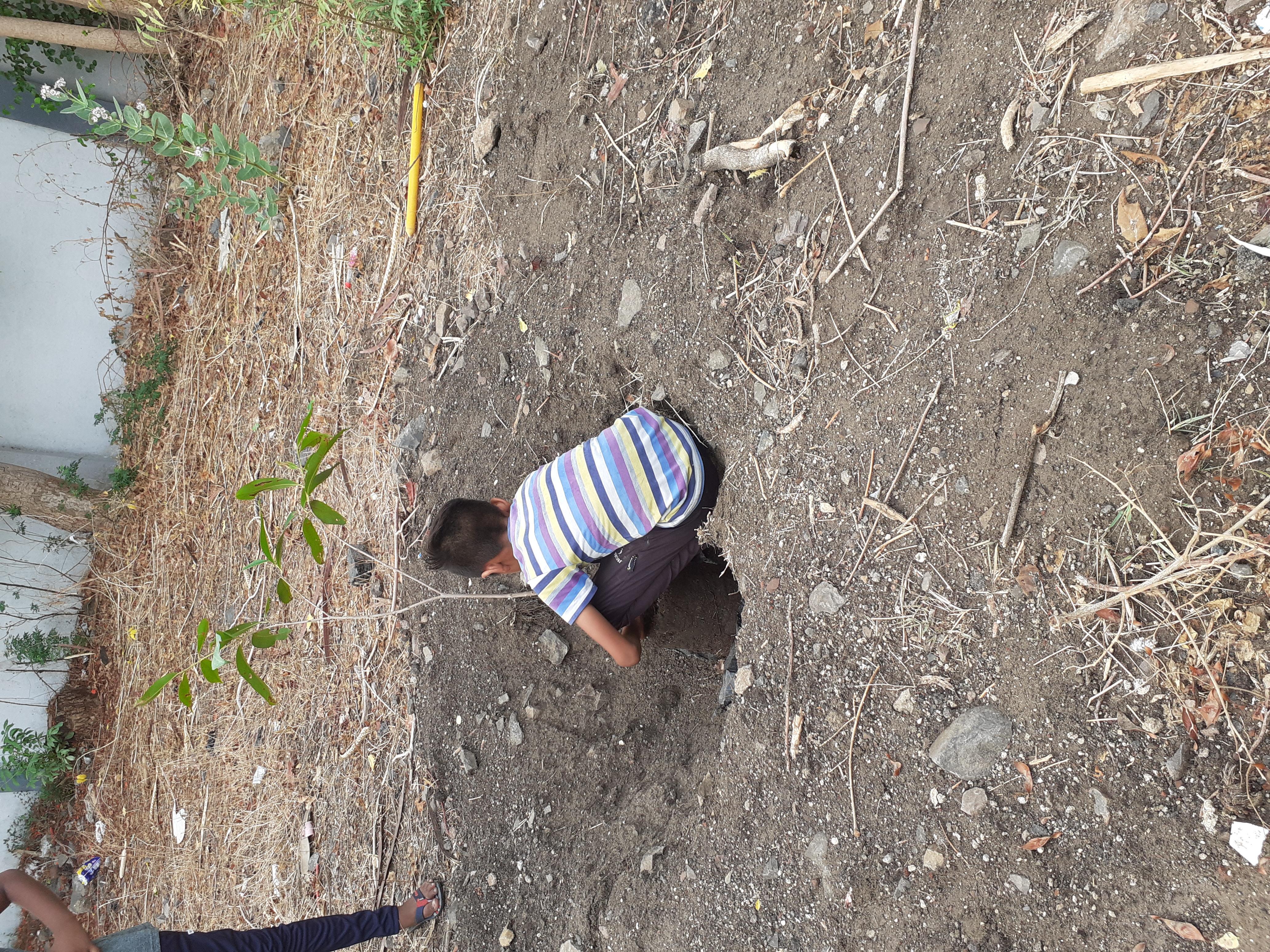 Tree Plantation at Special Home for Boys